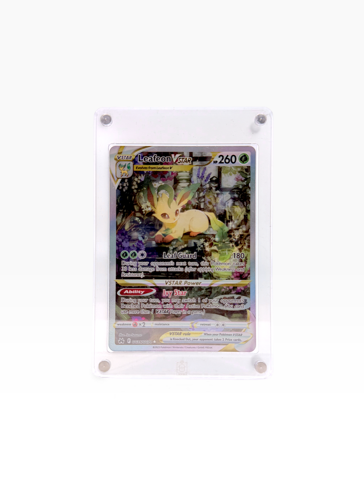 Lockbox Card Case (5 Pack)